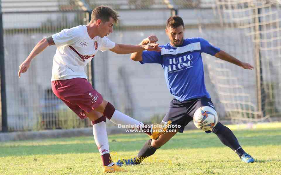 versienti leandro otranto ph d. nestola
