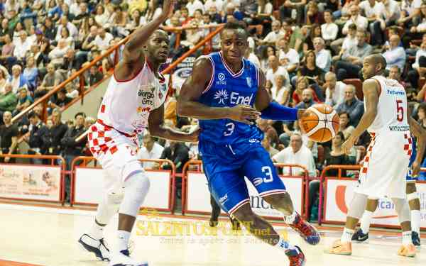New Basket Brindsi