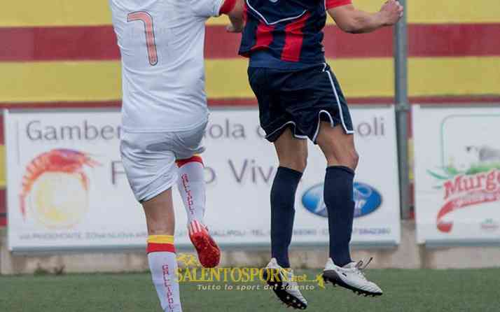 gallipoli - potenza