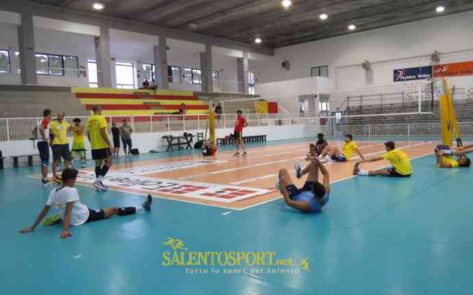 taviano volley