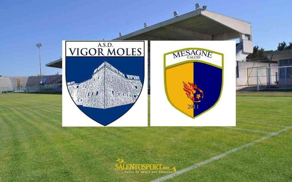 vigor-moles-mesagne