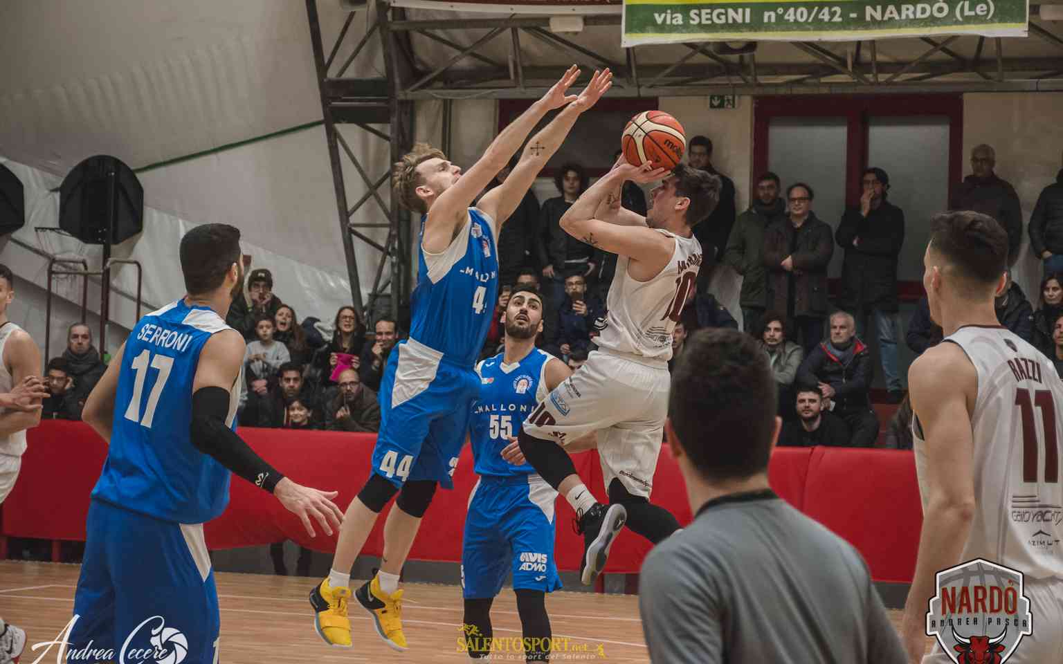 mastrangelo-daniele-frata-nardo-basket 301218 ph andrea cecere