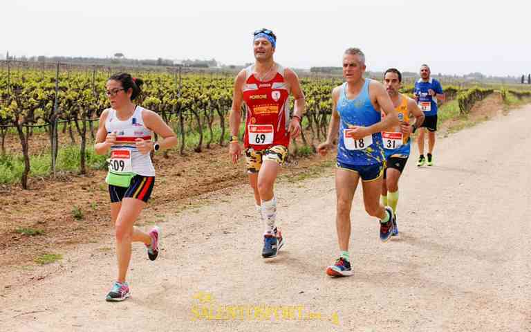 vigne-negroamaro-leverano-podismo-2019 ph fabio di pierro